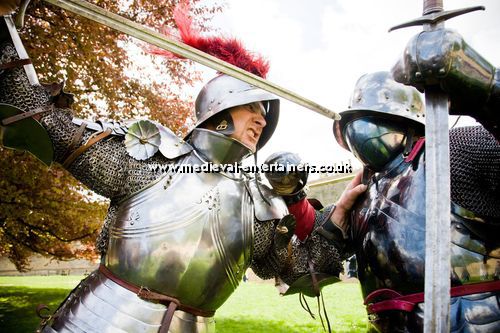 Tudor Themed Fighting Knights